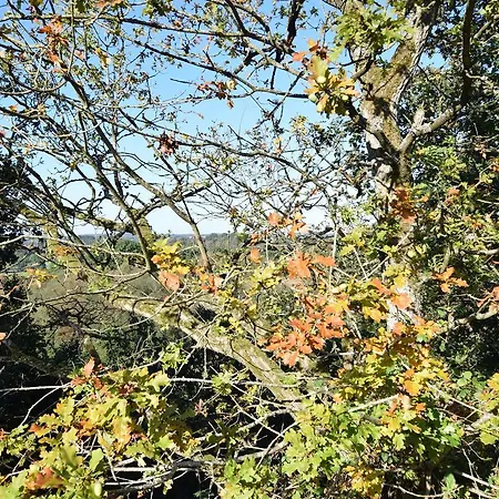 Holiday Le Holset * Durbuy